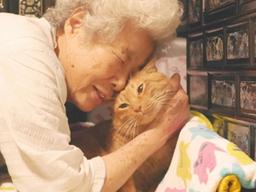 가족이니까-보고 있어도 그리운 엄마와 <strong>고양이</strong>