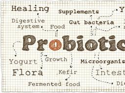 발효식품이 뜰 수밖에 없는 과학적 이유들