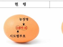 23일부터 달걀에 산란일 표기…소비자 불안감 해소