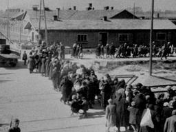 목숨 건 네 컷, 인간 절멸의 증언이 되다