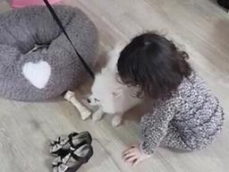 3세 여아 <strong>강아지</strong> 학대 영상 논란…네티즌 “엄마가 더 문제”