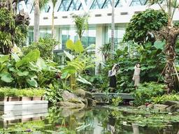 [카드뉴스] 이것은 돔구장인가 온실인가, 서울<strong>식물원</strong> 공짜로 즐기기