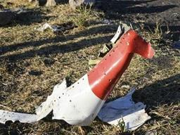 <strong>에티오피아</strong>서 4개월여 만에 또 추락한 '보잉 737 맥스'…인니 사고때와 같은 기종