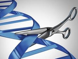 ‘유전자 가위질’로 아기 탄생… 넘지 말아야 할 선을 넘었다