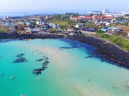 제주권: 드라마·영화 속 스타들 다녀간 그곳으로 봄나들이