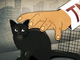 14만 길냥이의 외침... "누굴 위한 중성화냥"