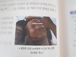 참고서에 <strong>노무현</strong> 前대통령 비하 사진 쓴 교학사…뒤늦게 "전량폐기"