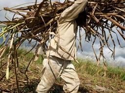 나는 가난할수록 멍청해지더라