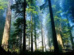 밥 10공기 칼로리 소모하는 <strong>등산</strong>의 놀라운 건강 효과 6가지