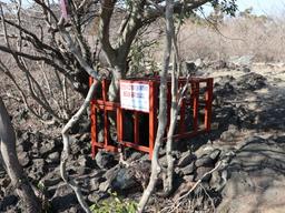 다시 찾아온 4월··· 빼앗긴 ‘진실’ 찾아 떠나는 <strong>제주</strong> 4·3 ‘다크투어’