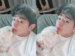 <strong>윤균상</strong> 고양이, 헤어볼 탓 세상 떠나…누리꾼 위로