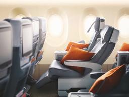 오직 비즈니스석 끊어야지만 탈 수 있는 여행구간