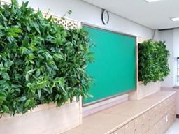 빌레나무 있고 없고의 차이는?...1년여 실험 끝에 밝혀낸 사실