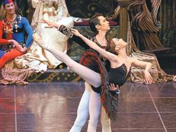 물 아래 백조의 발놀림처럼… 무대뒤 백조의 ‘조용한 전쟁’