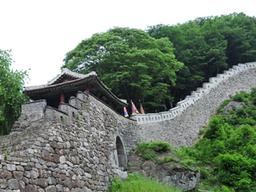 꽃길만 좋냐? 흙길도 좋다!