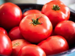 나른하고 축축 처지는 4월의 <strong>피로</strong>해소 <strong>음식</strong>