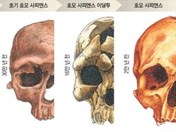 풍부한 <strong>의사소통</strong> 위해… 인류, 코 빼고 얼굴 돌출부 다 버렸다