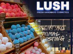 "56만 팔로워 모두 포기하겠습니다" 돌연 SNS 계정 모두 없앤 회사