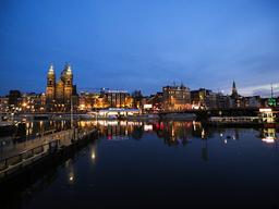 내버려두면 비로소 보이는 것들