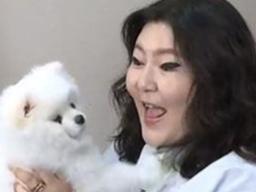 '나혼자산다' 한혜연이 밝힌 #솔직함 #슈스스 되는 법 #매력 화수분