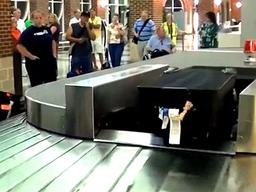 <strong>수하물</strong> 무게와 분실의 비밀