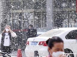 ‘꽃가루 함박눈’에 몸살앓는 <strong>베이징</strong>