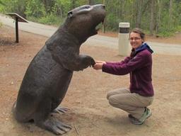 곰만한 덩치가진 ‘자이언트 비버’는 왜 멸종됐을까?