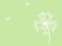 [어느좋은날] 민들레 홀씨가 머문 곳