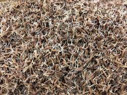 ‘탄수화물’ 걱정 없는 건강한 빵은 따로 있다