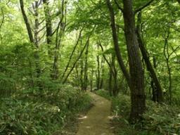 밭담길 걷다가 수제 맥주 한 잔… 가성비 좋은 제주 여행법