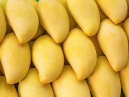 과일도 많이 먹으면 살 찐다