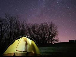 한국만 가진 '모기'와 '별빛'의 공통점?