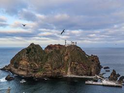 [비경성시]⑦국토 최동단 독도에서 보낸 하룻밤··· 그곳은 새들의 땅이었다