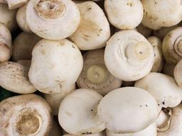 양송이버섯 고인 물<strong>이 몸</strong>에 좋다?