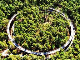 "숲 위를 달려본 적 있니?" <strong>벨기에</strong> 이색 자전거 길