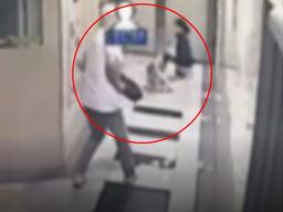 "아이 사냥할 것" 강형욱 주장에도 <strong>폭스</strong><strong>테리어</strong> 견주 "안락사 절대 안 시켜"