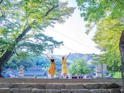 그늘로만 걷자, 여름에 걷기 좋은 길 5