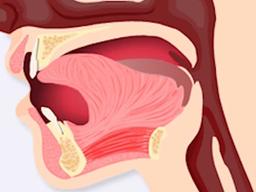 혀 두는 곳이 따로 있다고? 올바른 혀의 위치