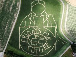 [서소문사진관]옥수수 밭 <strong>미로</strong>가 된 16세 환경운동가