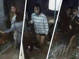 CCTV 캡처까지... 허락 없이 "연예인 다녀간 식당" 홍보하면 어떤 처벌이?