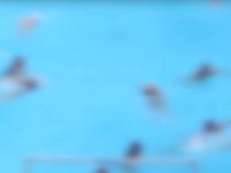 "근육질 몸매에 흥분" 광주수영대회 일본인 '<strong>몰카</strong>범' 혐의 인정