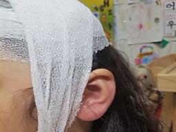 별안간 세 모녀 향해 달려든 대형견…7살 딸 머리 물었다