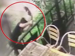 [Pick] 경의선 숲길서 <strong>고양이</strong> 잔혹 살해한 남성 경찰에 붙잡혔다