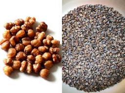 효소를 먹어서 보충할 수 없다, 그 이유는