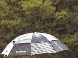 일주일 뒤 날씨?…여름 예보, 또 틀렸네