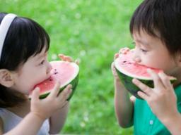 잘 익은 <strong>수박</strong>, '통통' 소리만으로는 모른다?