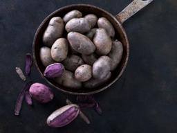 암세포를 죽이는 음식 5가지