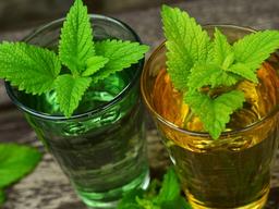 '레몬밤' <strong>효능</strong>은? 천연 '체지방 제거제'로 뱃살 빼자!