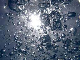 역사상 <strong>가장</strong> 심각한 거품은?