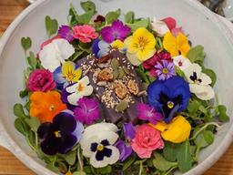 꼬...꽃을 먹는다고? 전국 식용 꽃 <strong>맛집</strong> 추천